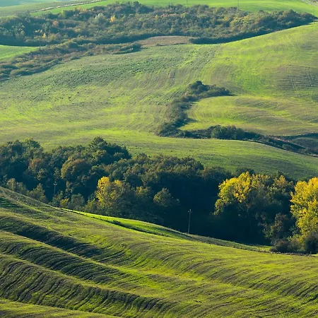Podere Ampella San Giovanni dʼAsso